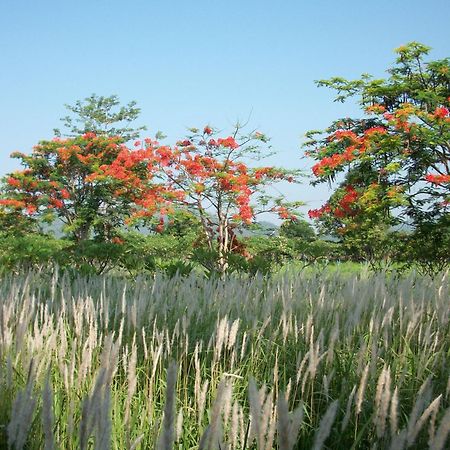 Lilawalai Resort Nong Nam Daeng Exterior photo